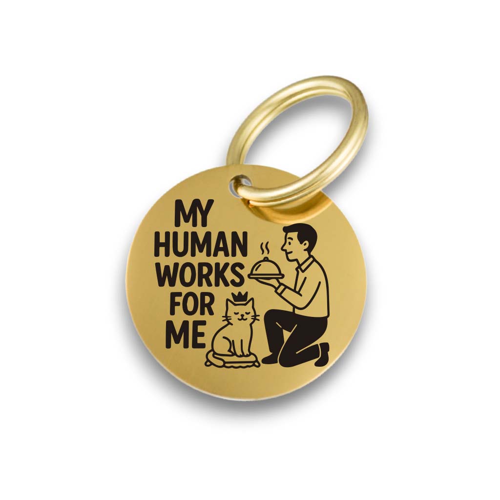 Funny gold pet ID tag with 'My Human Works For Me' engraved — personalized dog or cat tag for pet safety and identification.