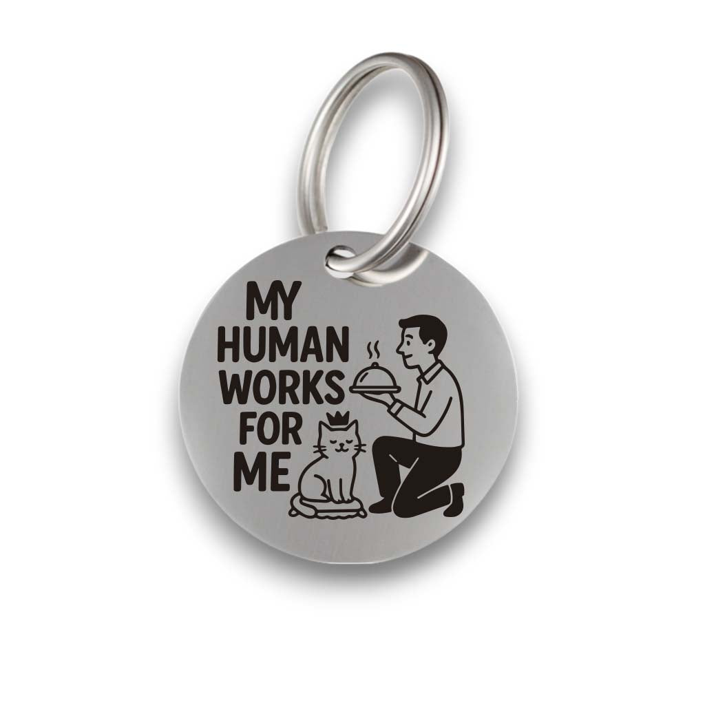 Funny silver pet ID tag with 'My Human Works For Me' engraved — personalized dog or cat tag for pet safety and identification.
