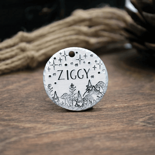 Ziggy Tag Silver Laser Engraved