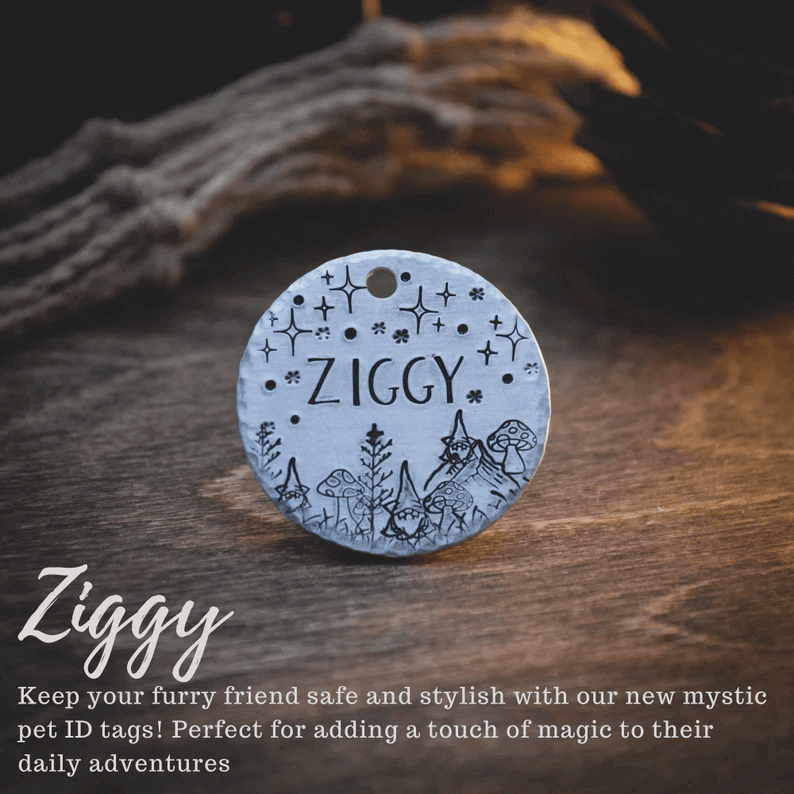 Ziggy Tag Circle