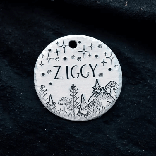 Ziggy Tag Silver