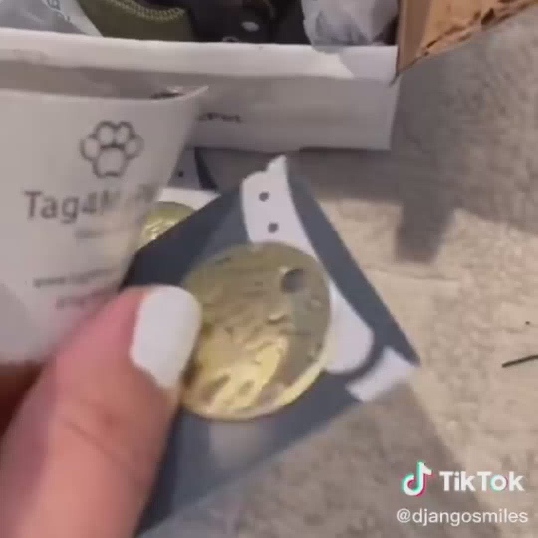 Dog Name Tag Canada | Tag4MyPet