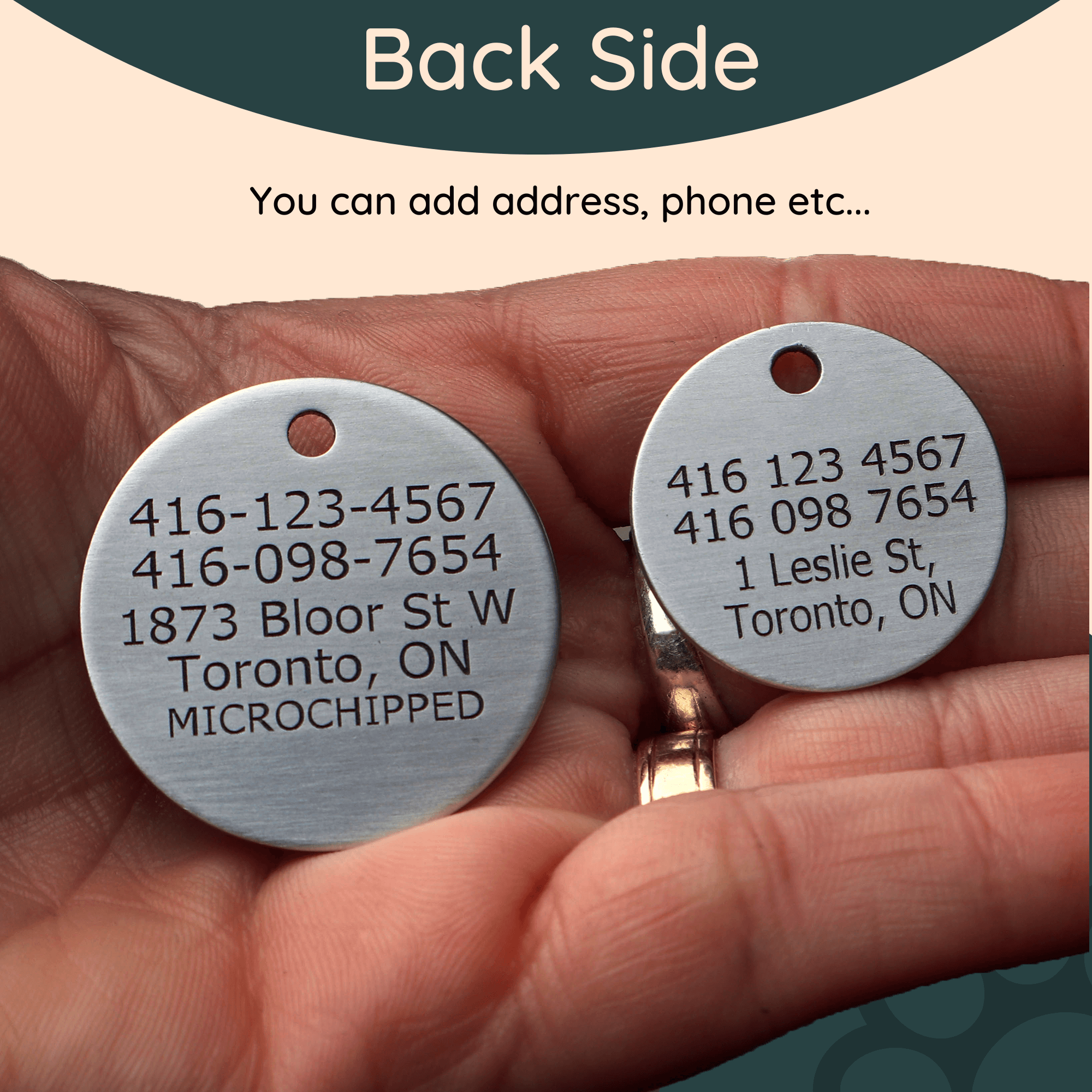 Dog Tag Contact Information | Tag4MyPet