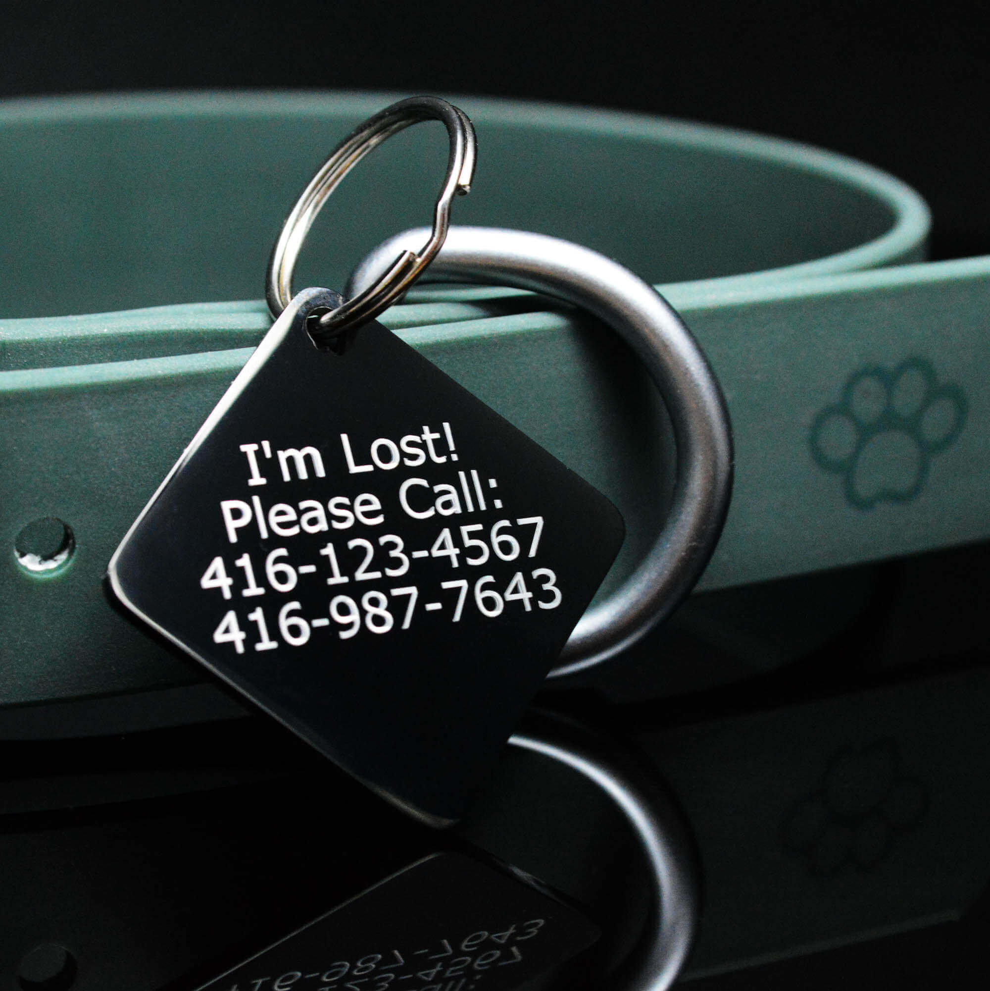 Tag for Dogs Diamond and Black Color