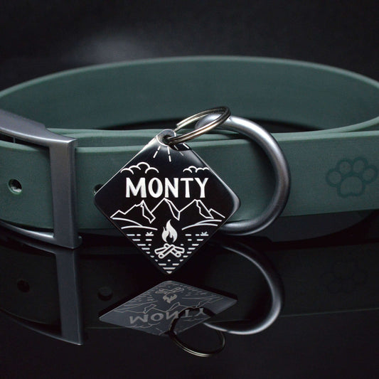 Dog tag collar