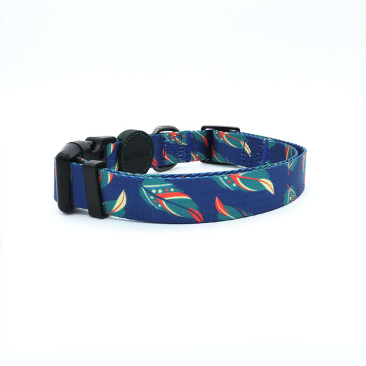 Dog Collar Canada