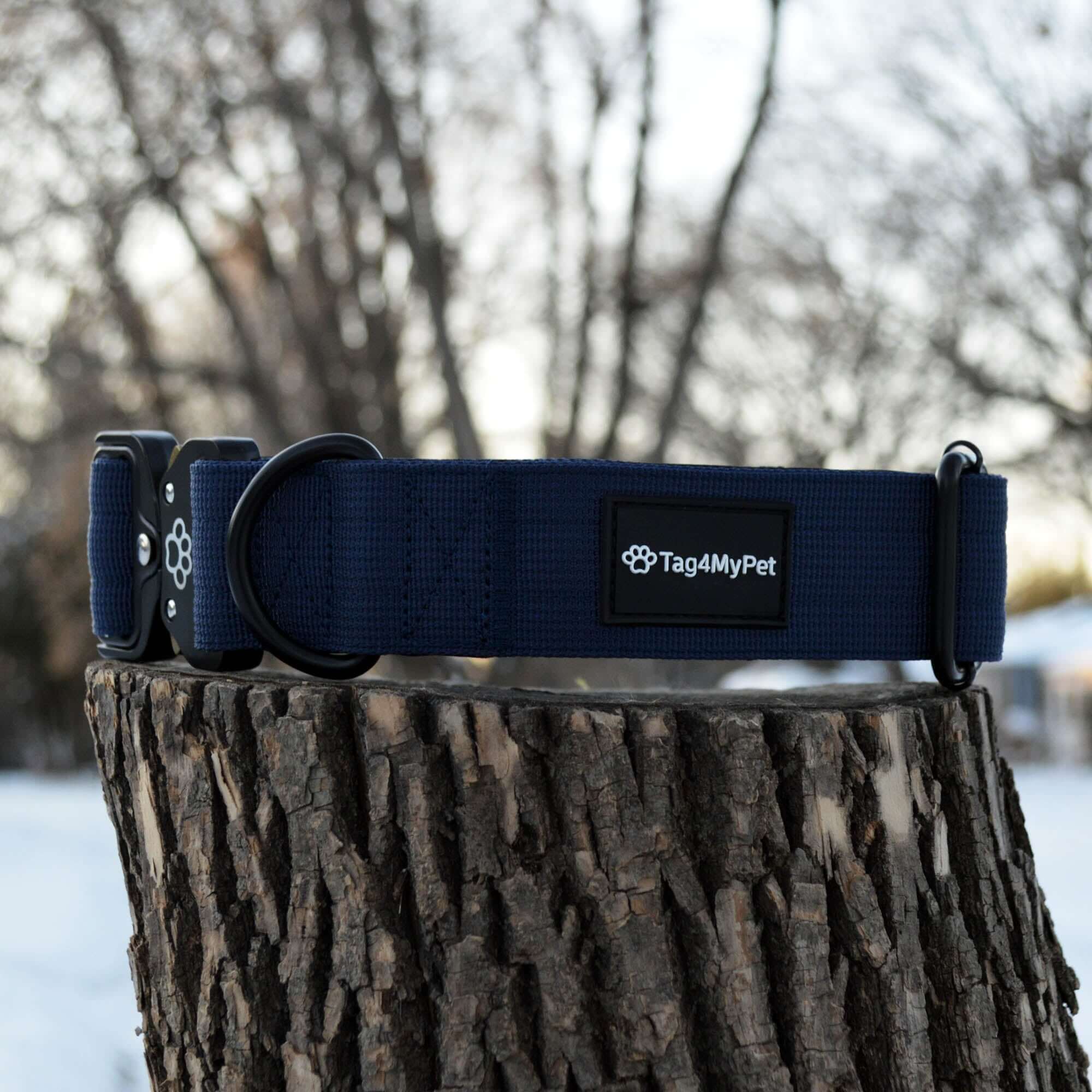 Tactical Dog Collar Blue