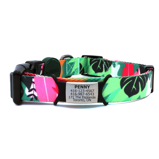 Personalized Dog Collar with Silent Dog Tag | Tag4MyPet