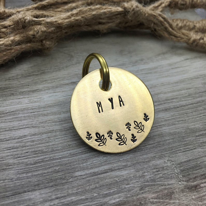 Cat identity tags