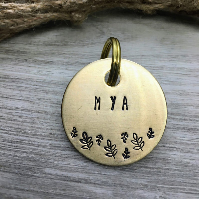 Cat identity tags