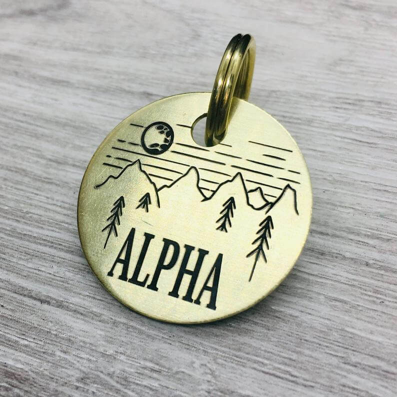 Gold Dog Tags