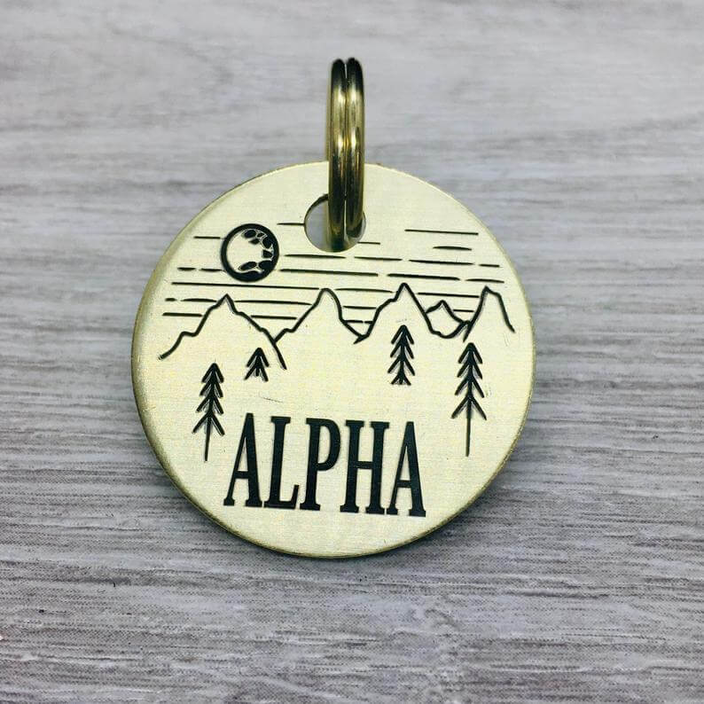 Gold Dog Tags 