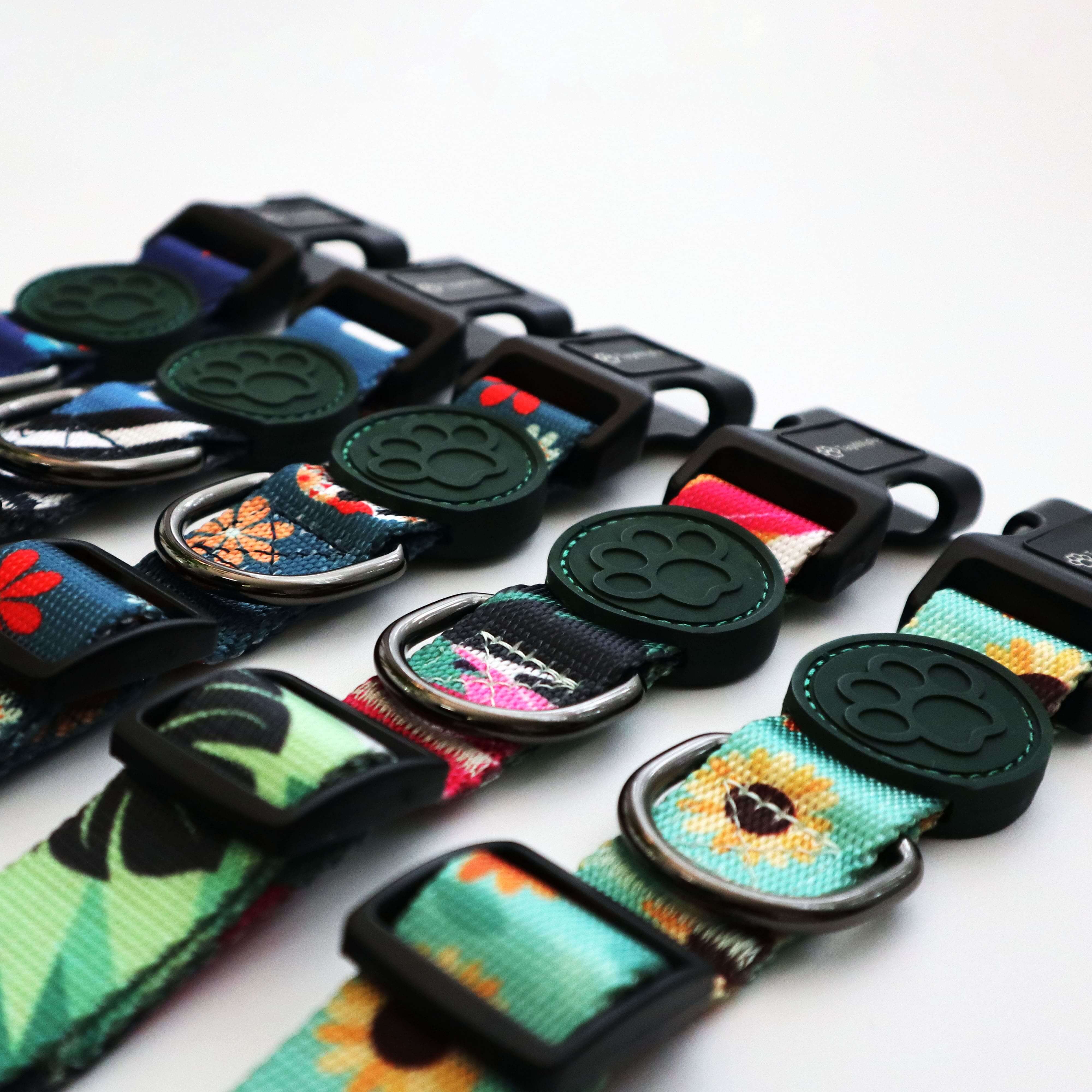 Dog Collars Made in Canada | Tag4MyPet