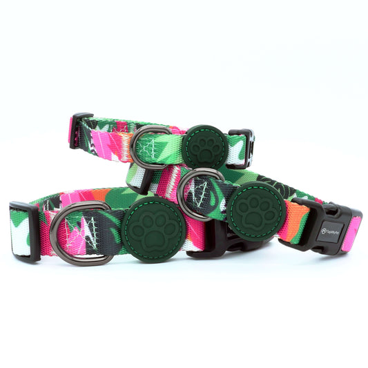 Personalized Dog Collar | Tag4MyPet