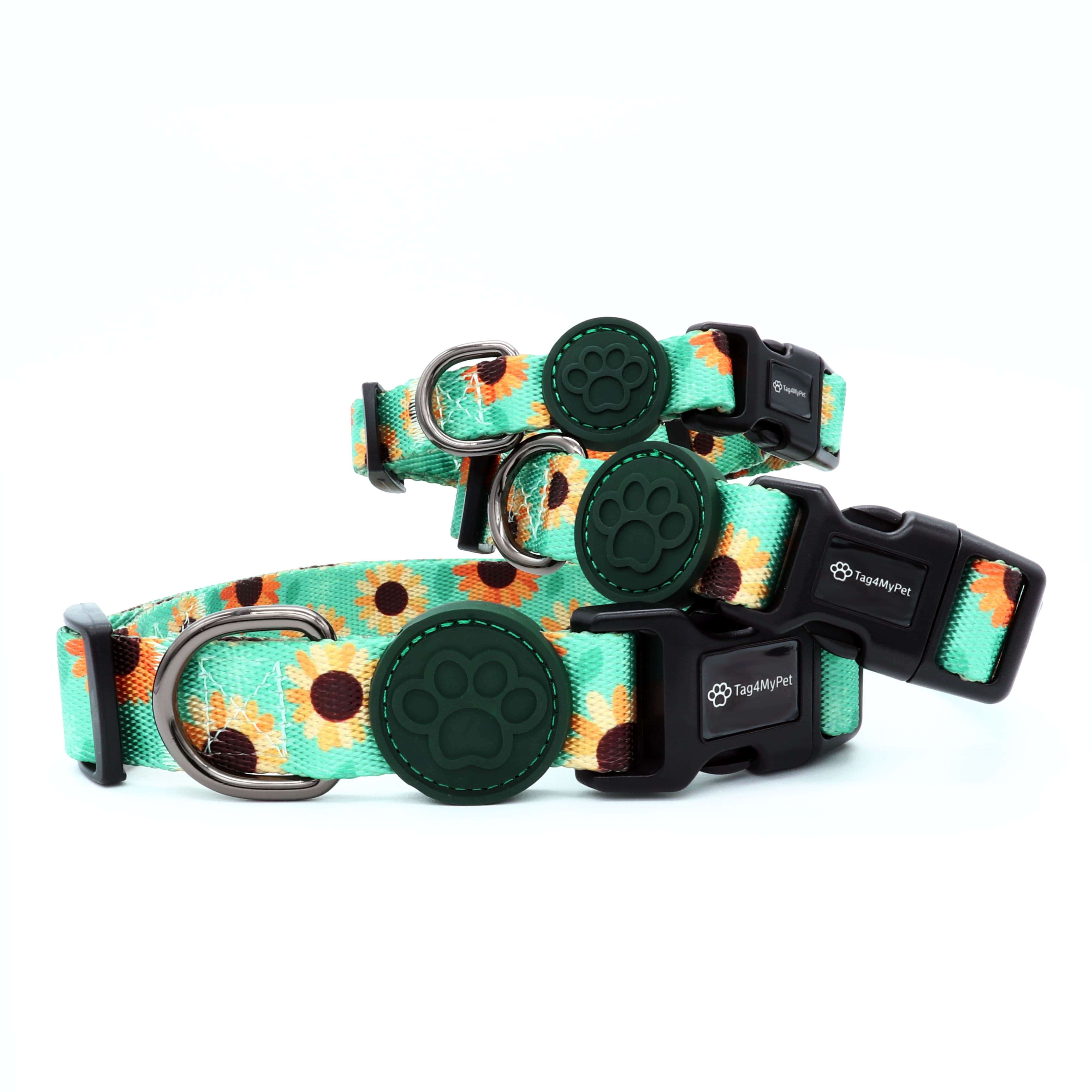 Dog Collars Made in Canada | Tag4MyPet