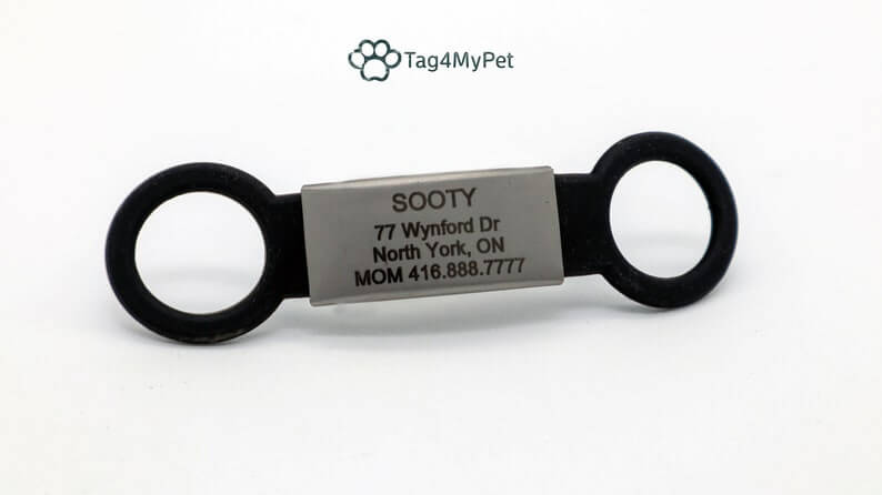 Silicone Slide On Dog Tags