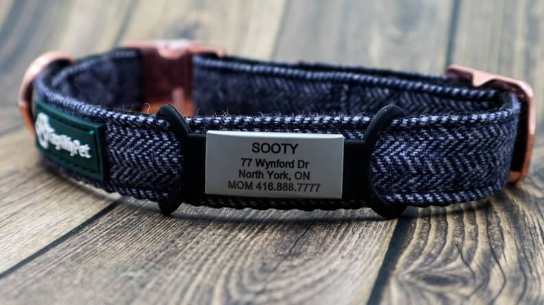 Silicone Slide On Dog Tags on Dog Collar