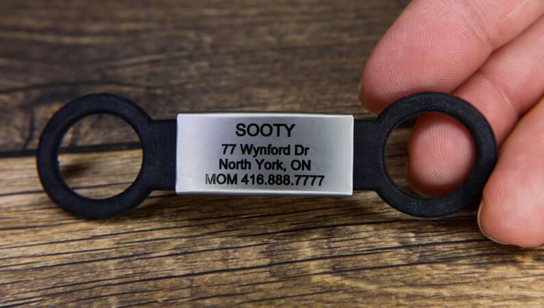 Silicone Slide On Dog Tags