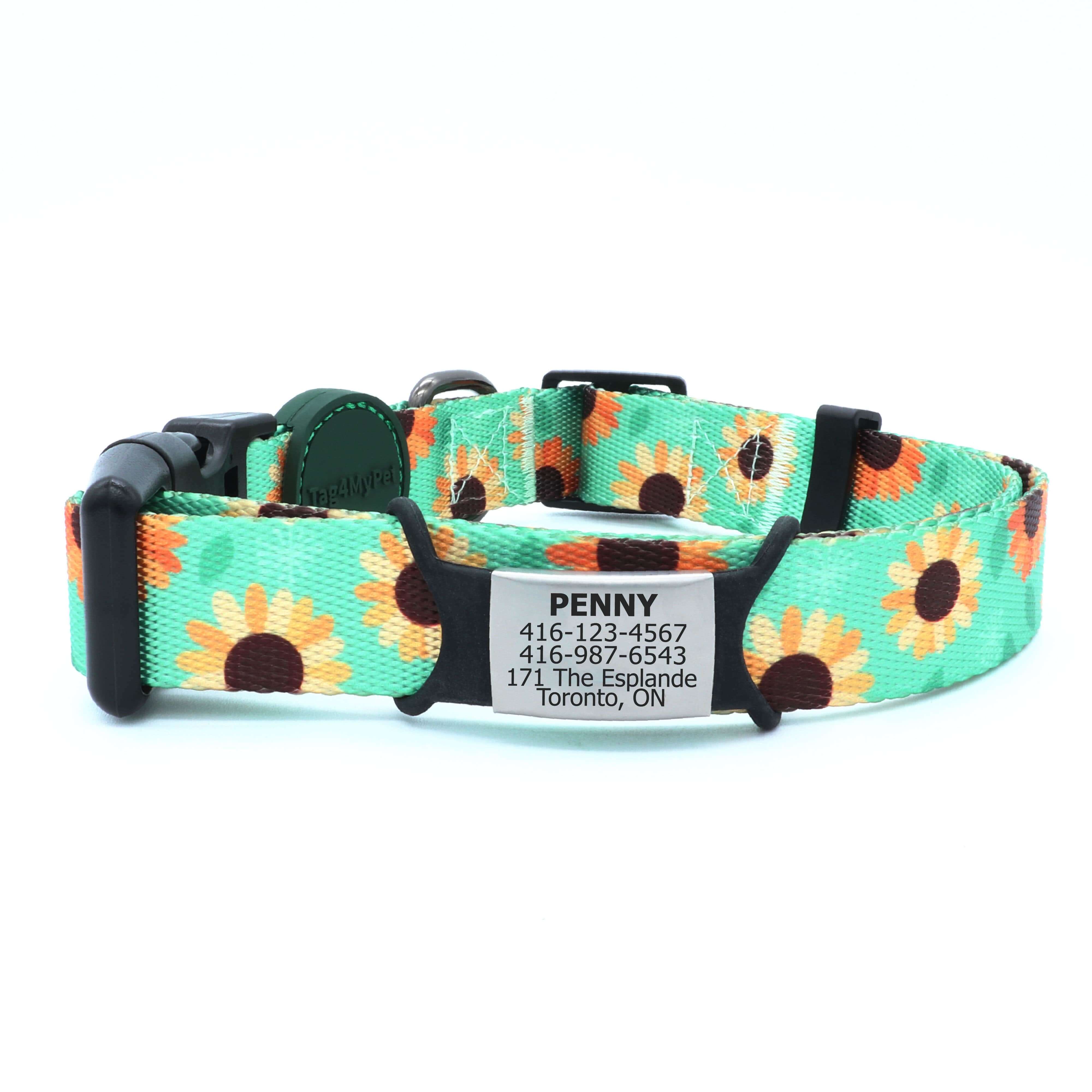 Dog Collar Personalized | Tag4MyPet